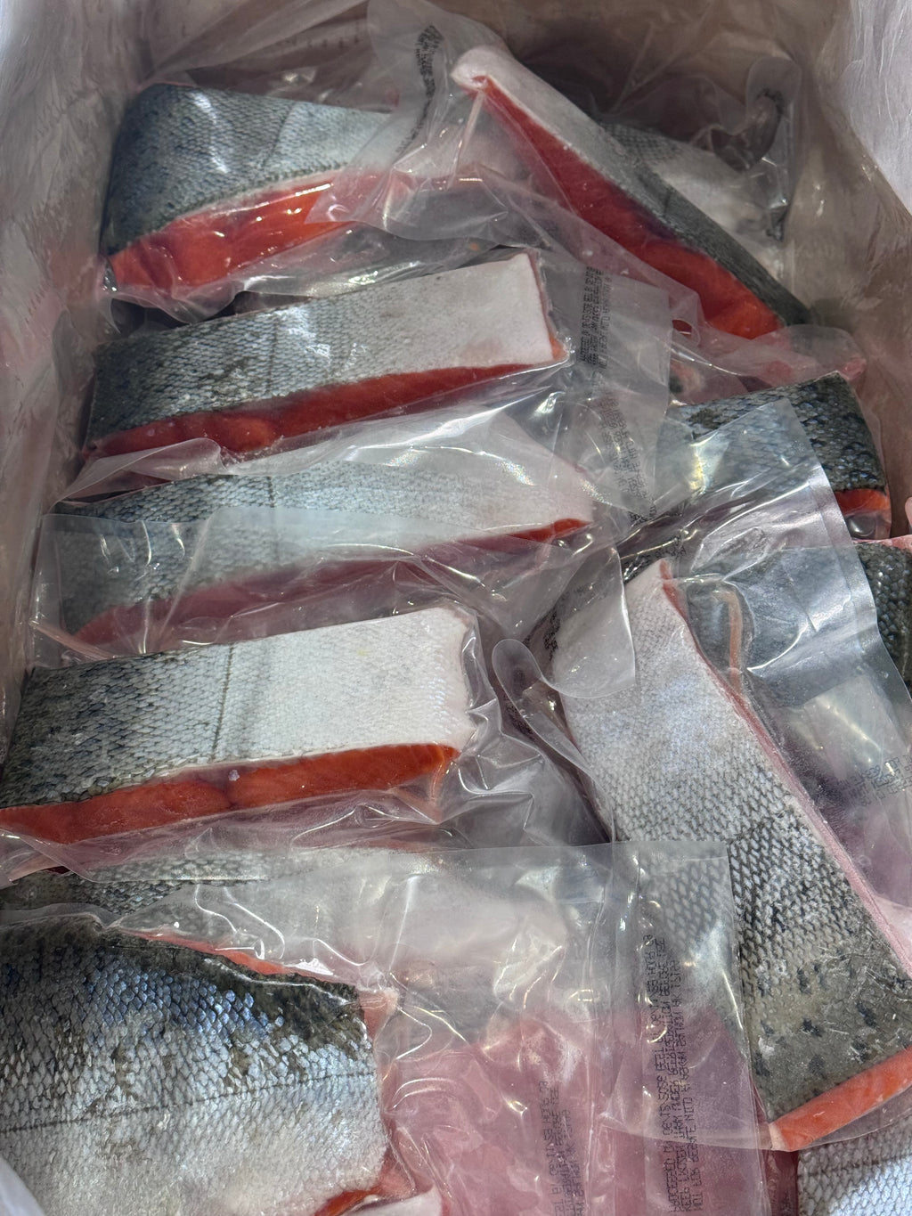 King salmon