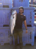 King salmon