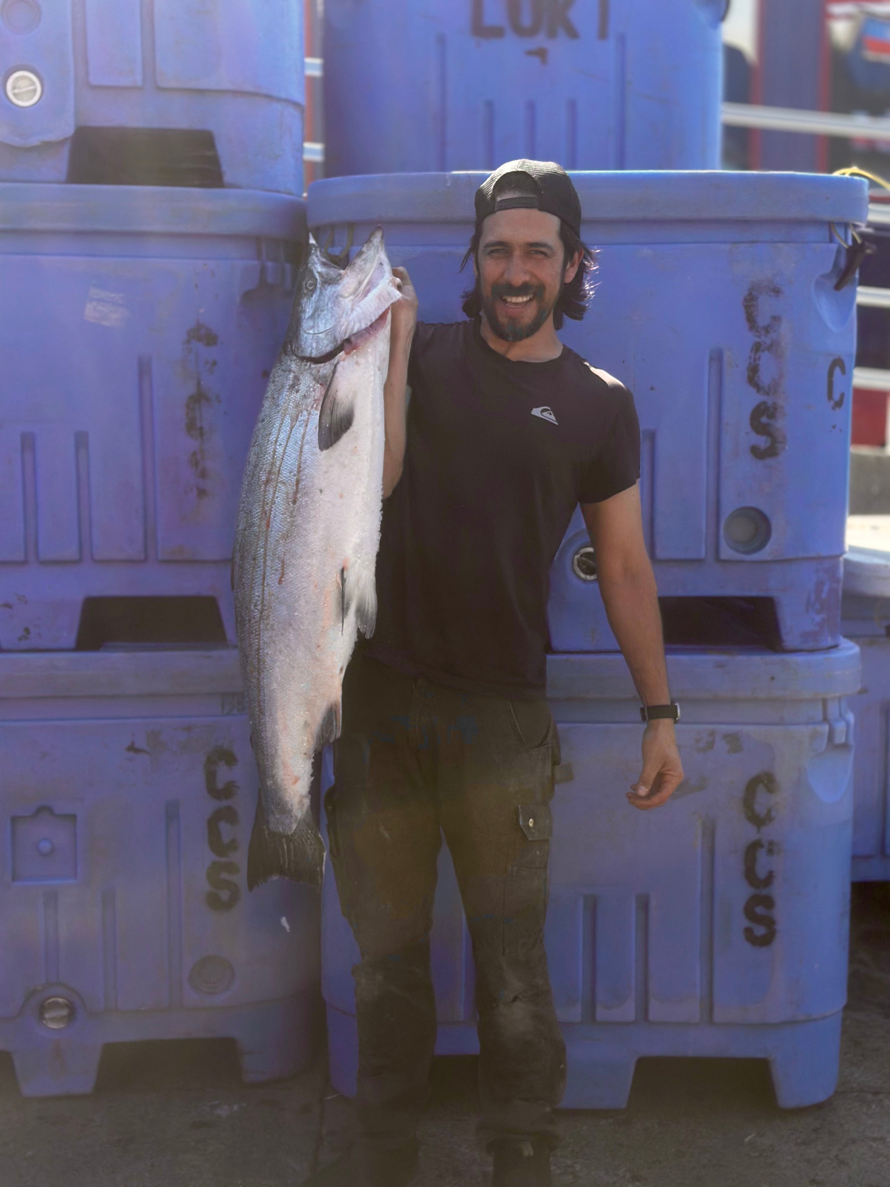 King salmon