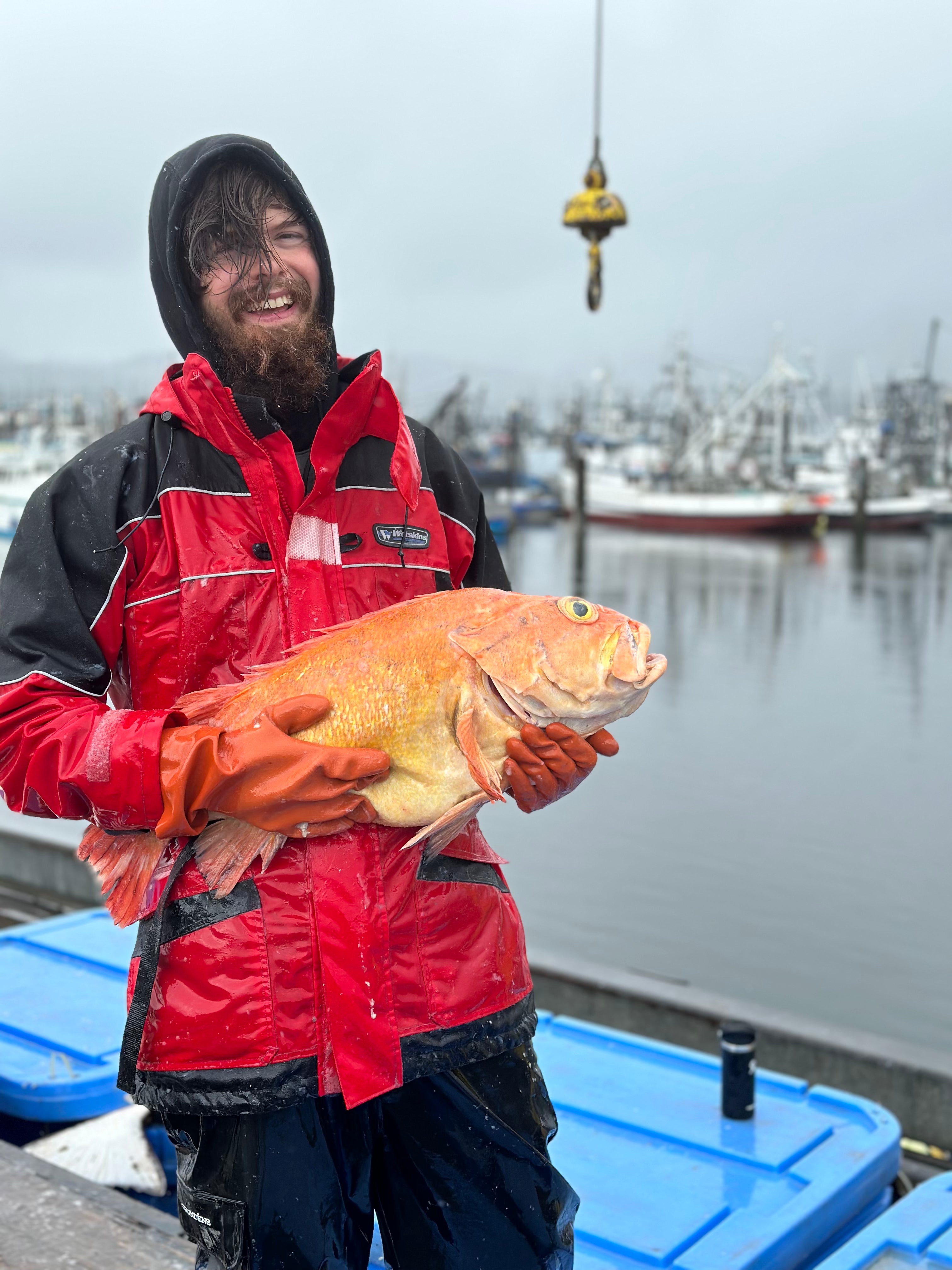 Rockfish